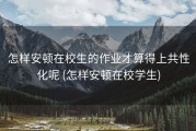 怎样安顿在校生的作业才算得上共性化呢 (怎样安顿在校学生)