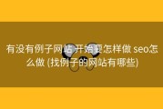 有没有例子网站 开始要怎样做 seo怎么做 (找例子的网站有哪些)