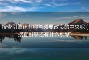搜查引擎还有哪些须要改良的中央呢 (搜查引擎还有什么引擎)
