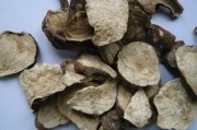 临床运用附子的一些疑问 (附子的临床用药指征)
