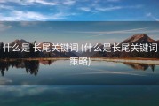 什么是 长尾关键词 (什么是长尾关键词策略)