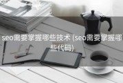 seo需要掌握哪些技术 (seo需要掌握哪些代码)