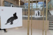 心随天地乐震文·张弛艺术展：探索四川新疆山水之美