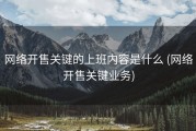 网络开售关键的上班内容是什么 (网络开售关键业务)
