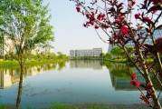 扬州大学本国语学院如今在哪个校区 (扬州大学本校)