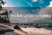 gms 是什么意思 (gms是什么计量单位)