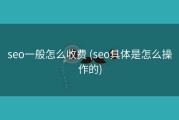 seo一般怎么收费 (seo具体是怎么操作的)