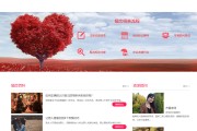 婚庆门户系统平台的四大分类的区别和特点 seo基础 (婚庆门户系统设计)