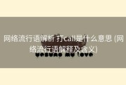 网络流行语解析 打call是什么意思 (网络流行语解释及含义)