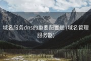 域名服务dns的重要配置是 (域名管理服务器)