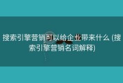搜索引擎营销可以给企业带来什么 (搜索引擎营销名词解释)