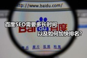 百度seo主要字优化排名营销公司哪家靠谱 (百度的seo)