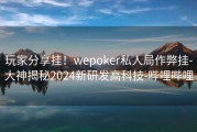 玩家分享挂！wepoker私人局作弊挂-大神揭秘2024新研发高科技-哔哩哔哩
