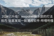 2024已升级！wepoker俱乐部的打法技巧-玩家发现一款透视软件-哔哩哔哩