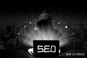 黑帽SEO 快排 白帽SEO的引见与优缺陷的对比
