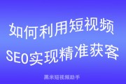 seo短视频网页入口网站是哪个 (seo短视频网页入口引流)