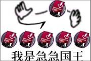 急急急！蜘蛛捕食昆虫的原理是什麼 (蜘蛛 d)