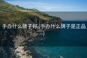 手办什么牌子好 (手办什么牌子是正品)