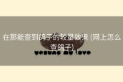 在那能查到鸽子的较量效果 (网上怎么查鸽子)