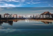 技术的拼音是什么 (技术的拼音是什么写)