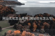 网站优化怎么弄啊 (网站优化怎么写)