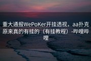 重大通报WePoKer开挂透视，aa扑克原来真的有挂的（有挂教程）-哔哩哔哩