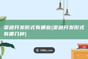 渠道开发形式有哪些 (渠道开发形式有哪几种)