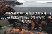 一分钟教会你微扑克开挂透视软件，aapoker原来是有挂的（有挂教程）-哔哩哔哩