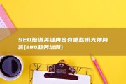 SEO培训关键内容有哪些 求大神简答 (seo业务培训)