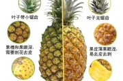 和 的区别 我怎样觉得他们记忆方法一样啊 主要词法 精细加工战略中 谐音联想法 (和 有什么区别)