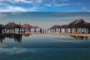 class是什么意思 (class是集体名词吗)