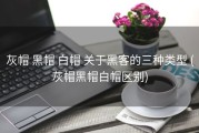 灰帽 黑帽 白帽 关于黑客的三种类型 (灰帽黑帽白帽区别)