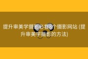 提升审美学摄影必看8个摄影网站 (提升审美学摄影的方法)