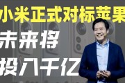 小米驳回的竞争策略是什么 (小米驳回的竞品是什么)