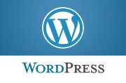 WordPress博客怎样做SEO提升 (wordpress)