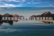 消息安保保证措施有? (安保信息包括)
