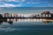 全文搜索引擎普通驳回什么原理来采集消息 (全文搜索引擎有哪些)