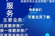 seo网络推行是什么 (seo网络推广网上价格)