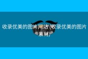 收录优美的图片网站 (收录优美的图片素材)