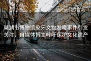 巢湖市博物馆象牙文物发霉事件引发关注，自媒体博主呼吁保护文化遗产