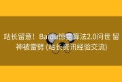 站长留意！Baidu惊雷算法2.0问世 留神被雷劈 (站长资讯经验交流)