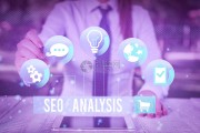 SEO数据剖析的绩效考核怎样写 (seo数据查询)