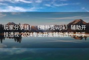 玩家分享挂！（微扑克wpk）辅助开挂透视-2024专业开发辅助透视-知乎