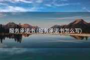 服务承诺书 (服务承诺书怎么写)