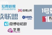 B站：从二次元到多元文化，用户互动平台占比仅次于百度
