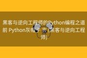 黑客与逆向工程师的Python编程之道前 Python灰帽子 言 (黑客与逆向工程师)