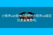 小程序uat是什么意思 (小程序ua能区分企业微信吗)
