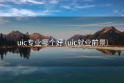 uic专业哪个好 (uic就业前景)