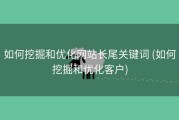 如何挖掘和优化网站长尾关键词 (如何挖掘和优化客户)