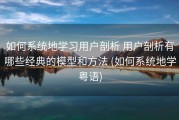 如何系统地学习用户剖析 用户剖析有哪些经典的模型和方法 (如何系统地学粤语)